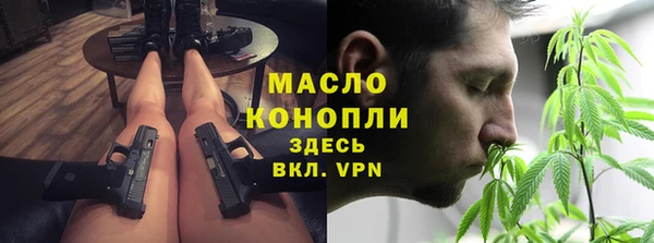 индика Медвежьегорск