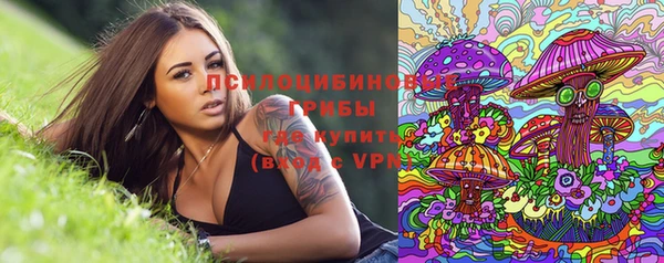индика Медвежьегорск