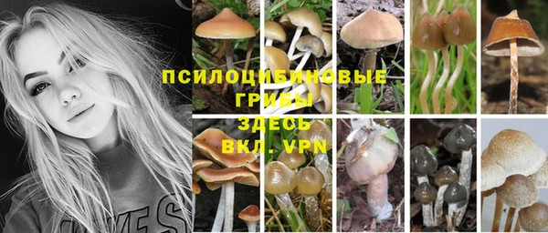 гидра Абинск