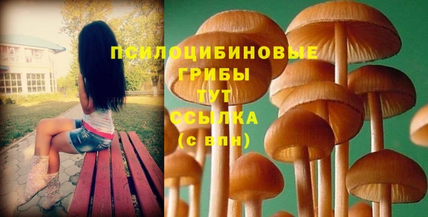 винт Алексеевка